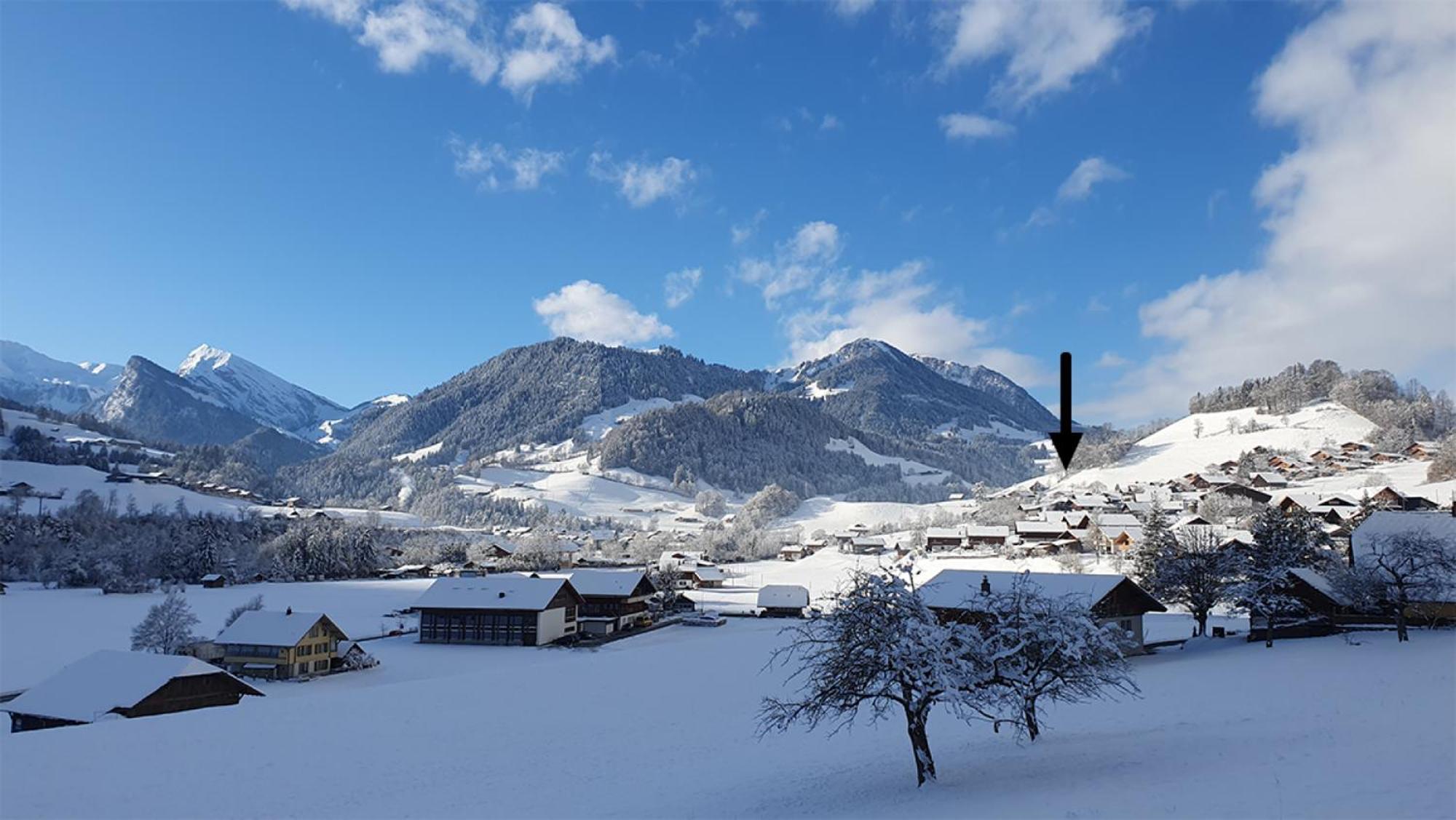 Adlerhorst - Apartment Im Niedersimmental Oey Εξωτερικό φωτογραφία